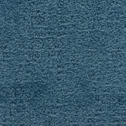 Masland  Santa Barbara  Carpet 9590 642
