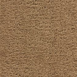 Masland  Santa Barbara  Carpet 9590 713
