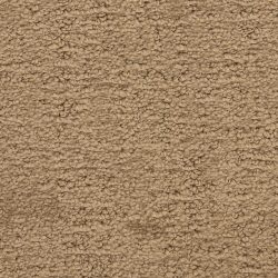 Masland  Santa Barbara  Carpet 9590 724