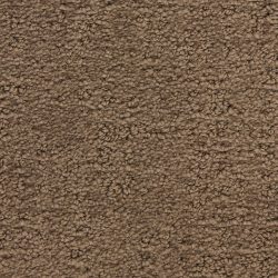 Masland  Santa Barbara  Carpet 9590 725