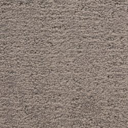 Masland  Santa Barbara  Carpet 9590 836