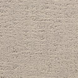 Masland  Santa Barbara  Carpet 9590 837