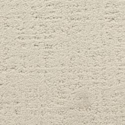 Masland  Santa Barbara  Carpet 9590 838