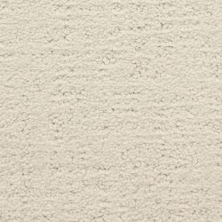 Masland  Santa Barbara  Carpet 9590 842