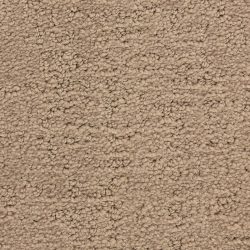 Masland  Santa Barbara  Carpet 9590 849
