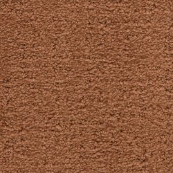 Masland  Santa Barbara  Carpet 9590 947