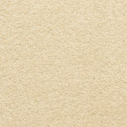 Masland  Staccato Carpet 9591 111