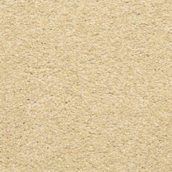 Masland  Staccato Carpet 9591 124