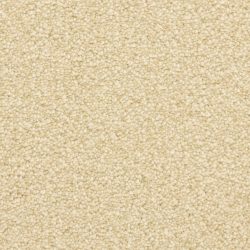 Masland  Staccato Carpet 9591 221