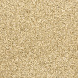 Masland  Staccato Carpet 9591 232