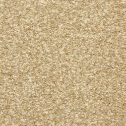 Masland  Staccato Carpet 9591 247