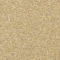 Masland  Staccato Carpet 9591 253