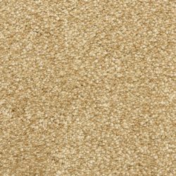 Masland  Staccato Carpet 9591 332