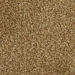 Masland  Staccato Carpet 9591 362