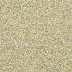 Masland  Staccato Carpet 9591 556