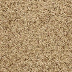 Masland  Staccato Carpet 9591 787