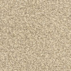Masland  Staccato Carpet 9591 827