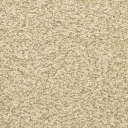 Masland  Staccato Carpet 9591 831