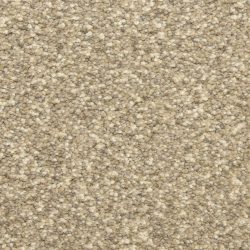 Masland  Staccato Carpet 9591 873