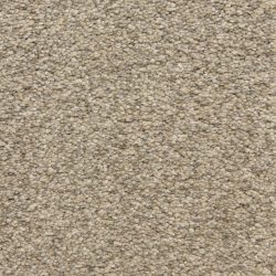 Masland  Staccato Carpet 9591 887