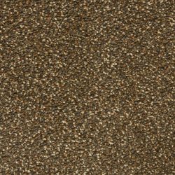 Masland  Staccato Carpet 9591 897
