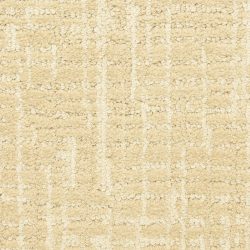 Masland  Ventura Carpet 9592 221