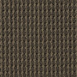 Masland  Urban Escape Carpet 9595 206
