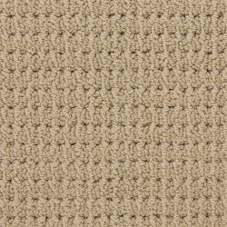 Masland  Urban Escape Carpet 9595 217