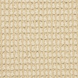 Masland  Urban Escape Carpet 9595 220