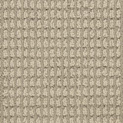 Masland  Urban Escape Carpet 9595 221