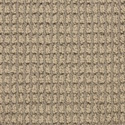 Masland  Urban Escape Carpet 9595 223