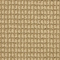 Masland  Urban Escape Carpet 9595 226
