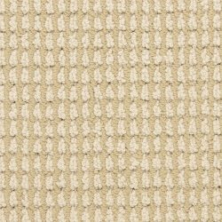 Masland  Urban Escape Carpet 9595 229