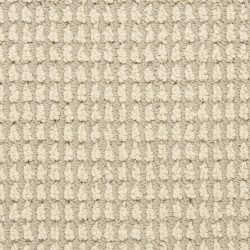 Masland  Urban Escape Carpet 9595 231