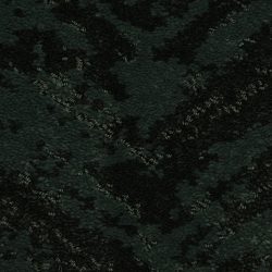 Masland  Cheval Carpet 9596 599
