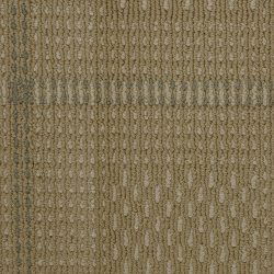 Masland  Bombay Vibration Carpet 9602 217