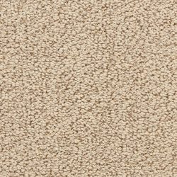 Masland  Marina Del Mar Carpet 9614 349
