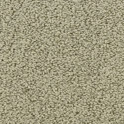 Masland  Marina Del Mar Carpet 9614 536