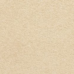 Masland  Knockout Carpet 9615 210