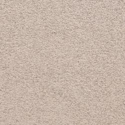 Masland  Knockout Carpet 9615 221