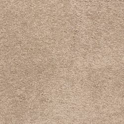 Masland  Knockout Carpet 9615 229