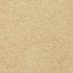 Masland  Knockout Carpet 9615 235