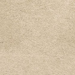 Masland  Knockout Carpet 9615 238