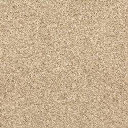 Masland  Knockout Carpet 9615 241