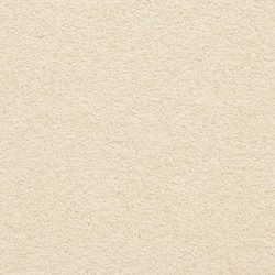 Masland  Knockout Carpet 9615 246
