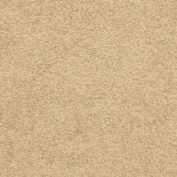 Masland  Knockout Carpet 9615 257