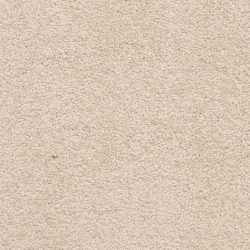 Masland  Knockout Carpet 9615 258