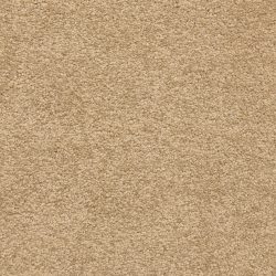 Masland  Knockout Carpet 9615 305