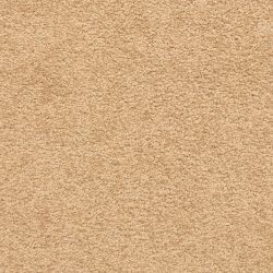 Masland  Knockout Carpet 9615 326