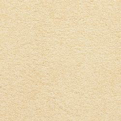 Masland  Knockout Carpet 9615 441
